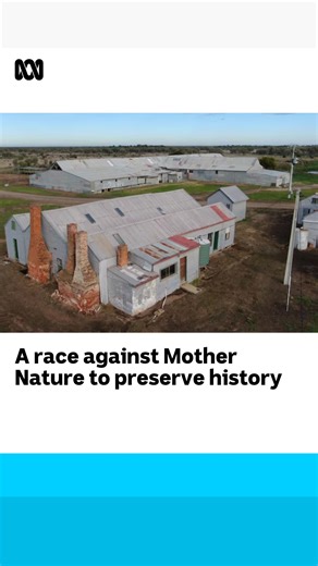 413K views · 4.9K reactions | The record for shearing over 202,000 sheep in a month was set at Toganmain Woolshed almost 150 years ago but that history could be lost if the building deteriorates further. Luckily a group of passionate locals are restoring it. They say it’s as good as any heritage listed building in capital cities across the country. The sheer size of the woolshed makes it one of the biggest rural restoration projects ever seen in Australia. | ABC Landline | Facebook