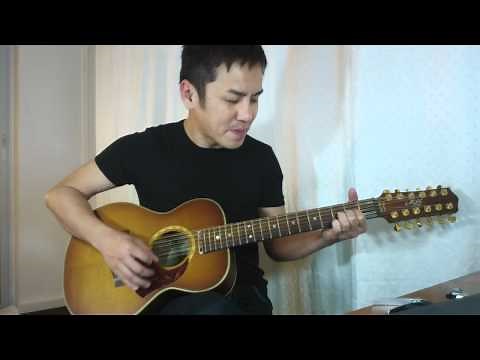 Maton Mini EMD 12 String Diesel Special Guitar Review in Singapore