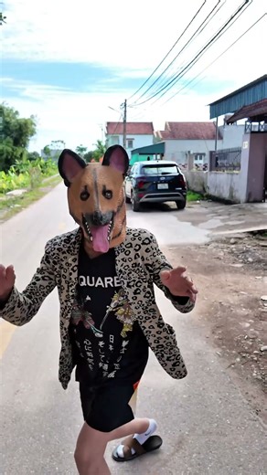 Gây sự với chú chó hài hước #shorts