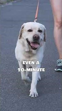 Depression Warning Signs & Prevention | Protect Your Mental Health Today