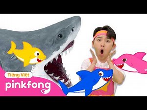 Tuyển tập | Chạy mau! Cá mập kìa! | Cá Mập Con | Baby Shark Pinkfong! - Nhạc thiếu nhi
