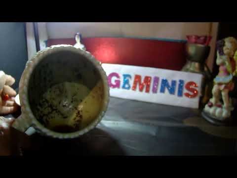 CAFE GEMINIS ♊ALGUIEN SE ENAMORA PERDIDAMENTE D TI- EX LLORA POR TI- SIENTES Q TE PERSIGUE.MUERTO