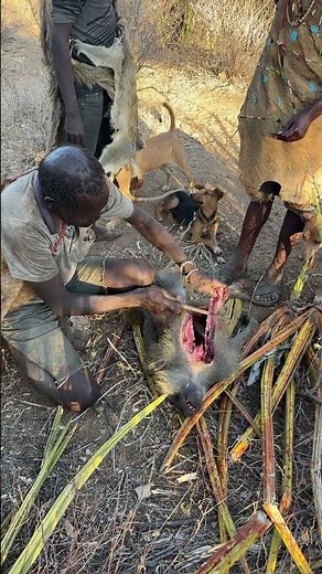 ⁠Nature provides. The Hadzabe thrive.