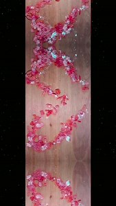 A combination of coco-de-mer shell and red coral Rs 1650 | OJZ Seychelles