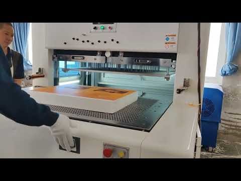 Automatic Label/Tags/Hangtags Paper Cup Waste Stripping Blanking Stripper Machine