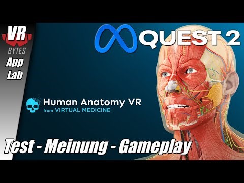 Human Anatomy VR / Oculus Quest 2 [Meta] [App Lab] / Deutsch / Erster Eindruck / Meta Quest 2