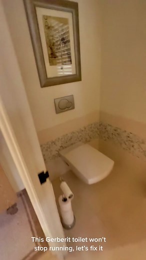 Fix a Gerberit Toilet That Won't Stop Running