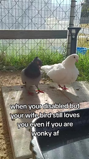 Living His Best Life: A Story of Resilience with Priscilla