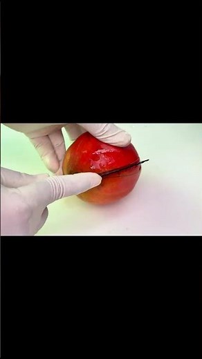 How to Cut a Pomegranate Like a Pro | Ultimate Pomegranate Cutting Hack!