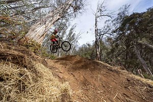 2.4K views · 21 reactions | Join us for a lap with Thredbo’s MTB Business Manager, Tim Windshuttle. He guided us through a few trails, highlighting the upgrades to the bike park’s network. We even got a sneak peek at what’s coming next. Exciting times ahead! Find all the details through the link below. https://flowmountainbike.com/post-all/whats-new-at-thredbo-this-summer-2024-2025/ | Flow Mountain Bike | Facebook