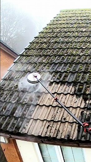 Removing 40 Years of Moss with Steam