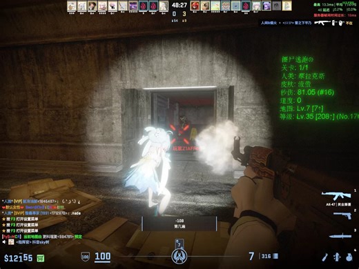 行动代号NPST 28人极限全流程