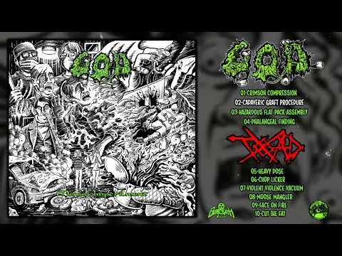 Grotesque Organ Defilement / Truth Of All Death.. FULL SPLIT (2026 - Goregrind / Grindcore)