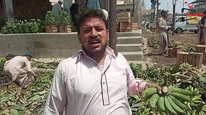 4.2M views · 10K reactions | یہ ویڈیو کراچی سپر ہائی وے پر قائم فروٹ مارکیٹ میں ملنے والے کیلوں پر بنائی گئی ہے یہ رمضان سے دو روز قبل ریکارڈ کی گئی تھی سبزی منڈی میں کیلا کس طرح فروخت ہوتا ہے اور کچہ کیلا کس طرح پکایا جاتا ہے یہ دیکھیئے اس ویڈیو میں | Road Reporters | Facebook