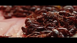 The Culture of Life: Krista’s Story | Cultivating Catholic Feminism | Episode 20 - Part II: Catholic Feminism in Life & Culture: - Formed