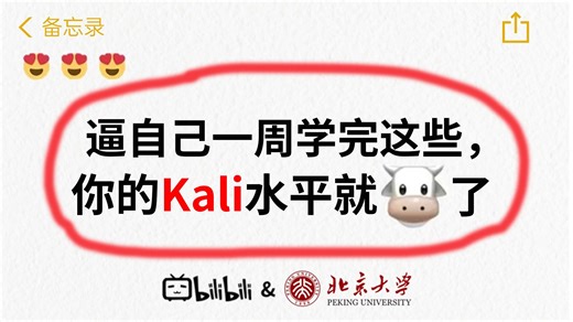 【B站最全Kali教学】从零开始学Kali，2026新手入门实用版，从零基础小白到大神只要这套就够了！（Kali入门到精通）