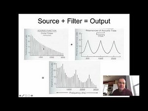 Ling 341 - Intro Phonetics - Source Filter Theory