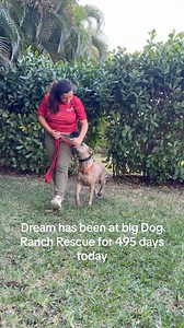 9K views · 807 reactions | ❤️ Dream’s story is a reminder of the...