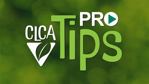 CLCA Wants Your Pro Tips
