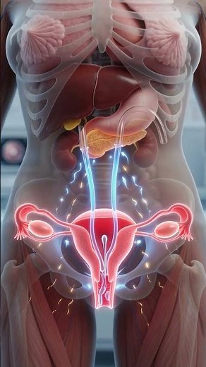 The Journey of Sperm to Egg |How Sperm Reaches the Egg Inside the Body