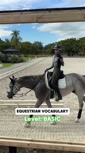 Lana | Equestrian Content Creator | Equestrian vocabulary 📖🐴 let’s cover the basics! #equestrian #horses #funnyhorses #equestrianhumor | Instagram