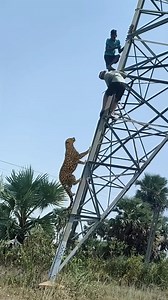 8.5K views · 37 reactions |  #asmr #asmrsounds #asmrvideo #beauty #products #slim #fyp #relaxing #satisfying #goodvibes #goodmorning #relax #humor #reelsfb #reels2024 | Ah Mei | Facebook