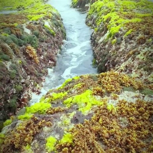 Chilling Moments That Feel Unreal ❄️ #chillingmoments #coolestmoments #shorts