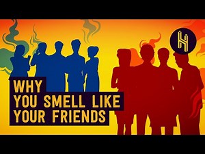 The Science Behind Why Friends Smell Like Each Other