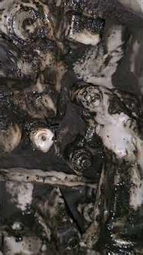 Engine block cleaning with oven cleaner/ purple power/brake cleaner