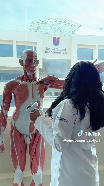 Estudiar Medicina en Indoamérica con Tecnología 3D