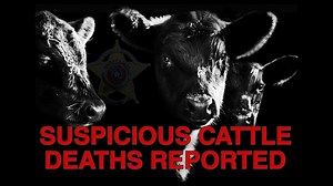 Deep East Texas officials investigating after cows found dead, mutilated