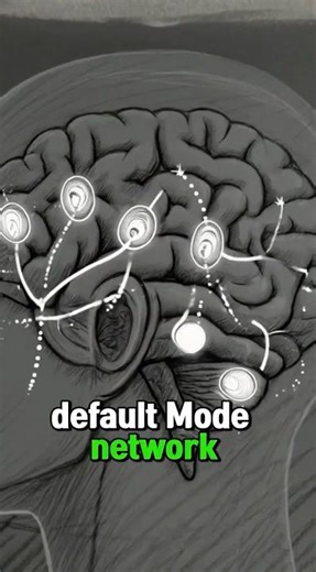 Why Your Brain Loves Daydreaming?