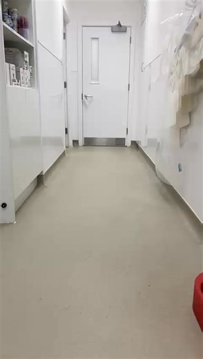 Happy October from our practice Bat Dog! 🦇🖤 #PawsAndClaws #BurgessHill #rspcabrighton #Brighton #sussexliving #eastsussex #sussex #veterinary #veterinarystudent #VeterinaryNurse #veterinary_clinic #eastgrinsteadmums #hassocksmums #burgesshillmums #haywardsheath #TheVetSurgeryBurgessHill #hassocks #burgesshill #haywardsheathlife #petsathome #haywardsheathmums #hassockslife #haywardsheathbusiness #burgesshilluncovered #burgesshillbusiness #veterinarymedicine #eastgrinstead #october | Vets for Pe