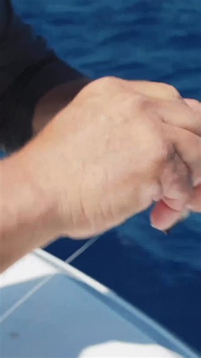 Always setting up for a reason. 🎥: Local Knowledge S10:E1 Battling Sharks to Catch Tuna!” Available on YouTube, Waypoint TV & Streaming apps | Local Knowledge