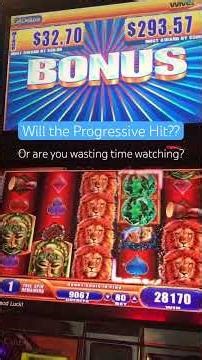 Bonus on King Of Africa Slot Machine at Barona Casino near San Diego, California. 80 cent spin