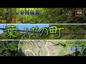 【とくしま再発見】葉っぱビジネスの町 徳島県上勝町