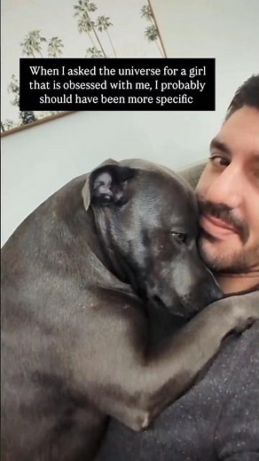 Epic Dog Love Compilation! 🐶❤️ #doglovers #shorts