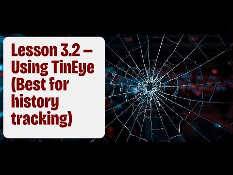 Lesson 3.2 — Using TinEye