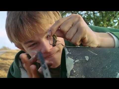 What's Eating Gilbert Grape? (1993): Arnie Unknowingly Kills A Grasshopper