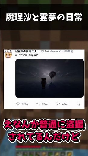 レイマリの日常(？) #マイクラ #shortvideo #ゆっくり実況 #ゲーム実況 #ゆっくり実況から逃げるな #実況