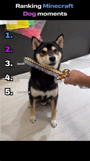 Minecraft dog moments #dog #dogs #minecraft #funny