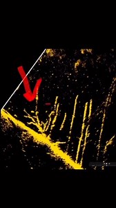 5.6K views · 82 reactions | I found this using active Target 2 @lowrance | Brian Latimer | Facebook