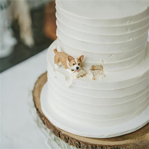 Custom Polymer Clay Pet Cake Topper – Wedding, Birthday, Anniversary Decoration - Etsy