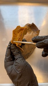 Singers? Teachers? Speakers? Anyone who talks?? Listen Up! It's the "voicebox" 🎙 #howitworks #themoreyouknow #anatomy #pitch #sing | Institute of Human Anatomy