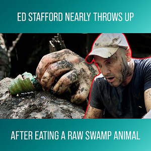 175K views · 287 reactions | Survivalist Ed Stafford challenges Royal Marine Aldo Kane on a race through the crocodile-infested mangrove swamps of Borneo. Both men will have to come up with creative ways to keep their energy levels up, including eating raw meat. Watch more Ed Stafford: First Man Out on discovery: https://bit.ly/3nTONmb | Love Adventure | Facebook