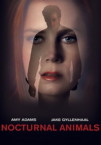 Nocturnal Animals