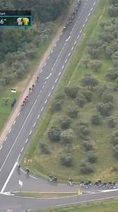 34K views · 491 reactions | Will this go down as a race-winning move?  The entire Team Visma | Lease a Bike squad SENT it in the crosswinds, creating massive splits and GC time gaps at Paris-Nice! | SBS Sport | Facebook