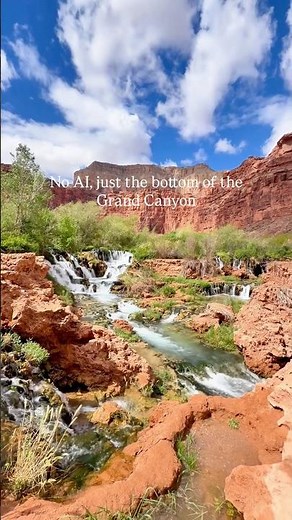 We couldn’t believe Havasupai is actually real! Insane views at the bottom of the Grand Canyon