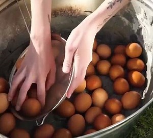 Dare to try century eggs? A DIY guide to this delicacy! | 5-Minute Crafts