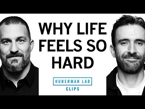 The Science of First World Problems | Michael Easter & Dr. Andrew Huberman